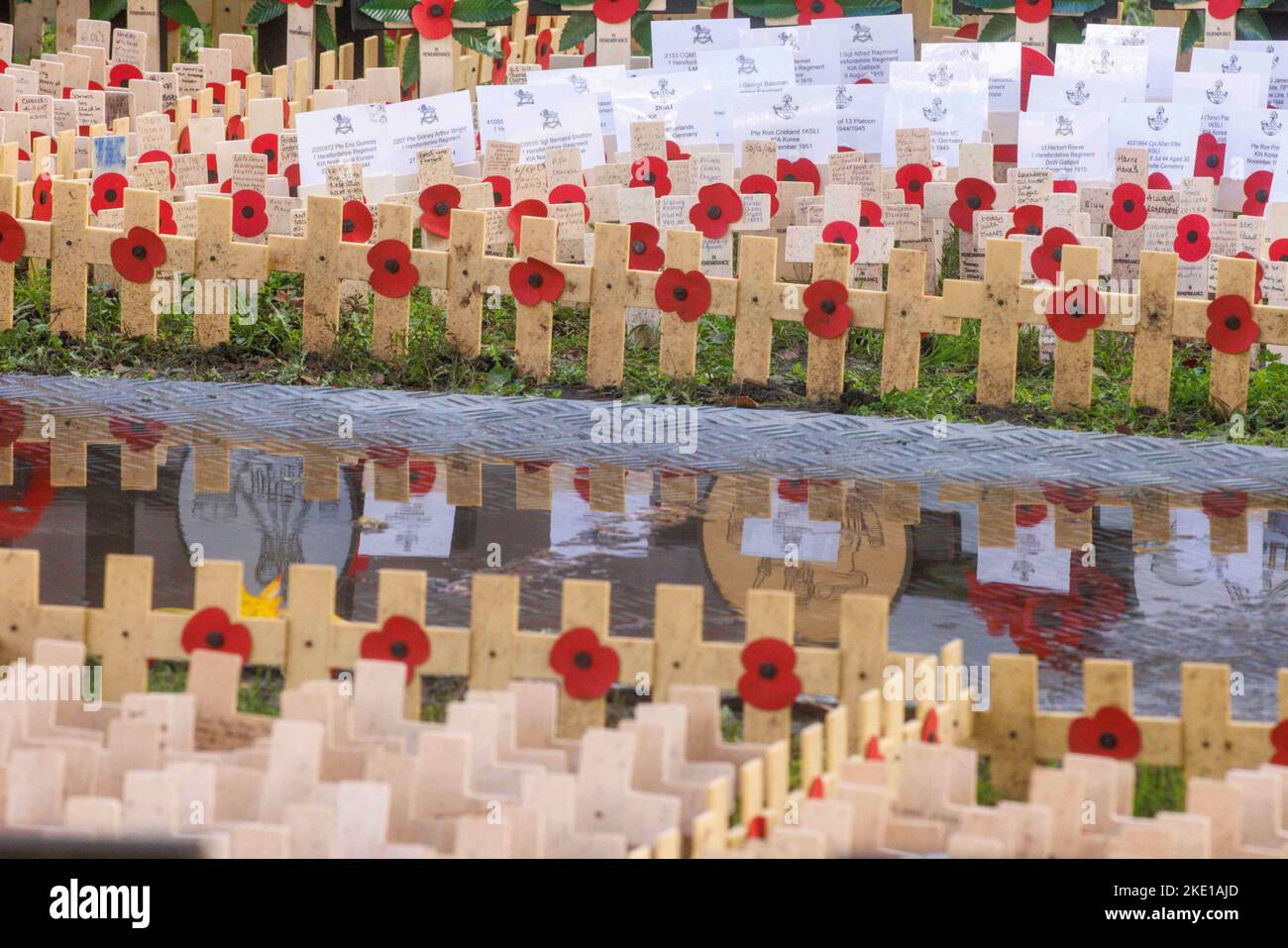 Londres, Royaume-Uni. 9th novembre 2022. Des coquelicots et des croix dans le jardin du souvenir dans le domaine de l'abbaye de Westminster. Ils se rappellent les morts de la première Guerre mondiale pour le jour de l'armistice, 11 novembre. Crédit : Karl Black/Alay Live News Banque D'Images