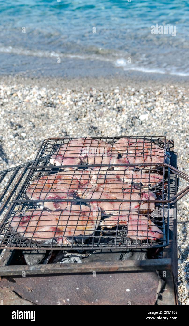 Tranches d'espadon grillées dans un barbecue, mise au point sélective au premier plan avec une faible profondeur de champ avec des cailloux de plage flous et de l'eau de mer. Banque D'Images