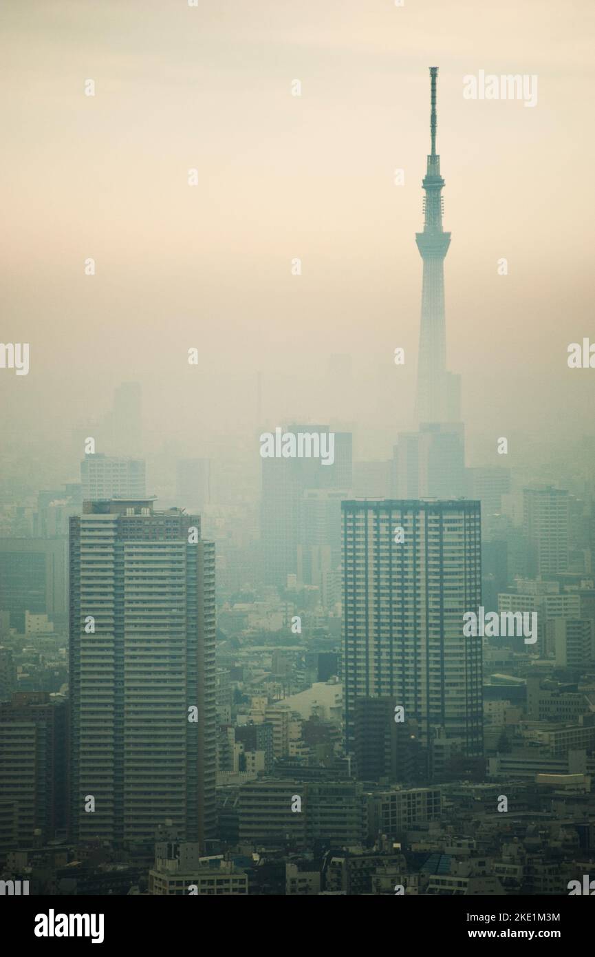 Centre de Tokyo, vu d'en haut, lors d'une journée particulièrement enfumée, Tokyo, Japon. Banque D'Images
