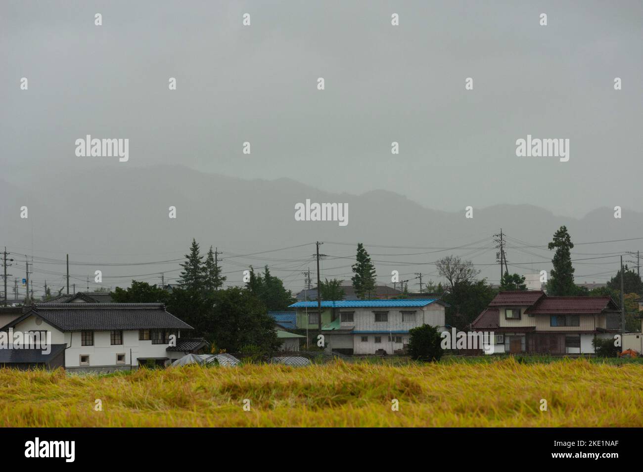 Les rizières sont soutenues par des maisons et la forme vague des montagnes lors d'un jour pluvieux près de Matsumoto, Nagano, Japon. Banque D'Images