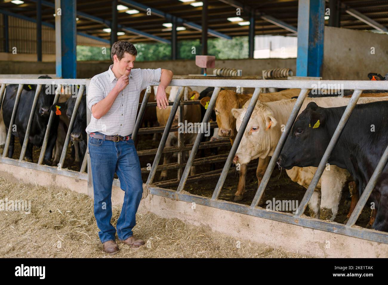 Photo de Jim Wileman - Directeur agricole Tom Chanter, photographié à Woodbury Salterton, Devon, Royaume-Uni. Banque D'Images Photo de Jim Wileman - Directeur agricole Tom Chanter, photographié à Woodbury Salterton, Devon, Royaume-Uni. Banque D'Images