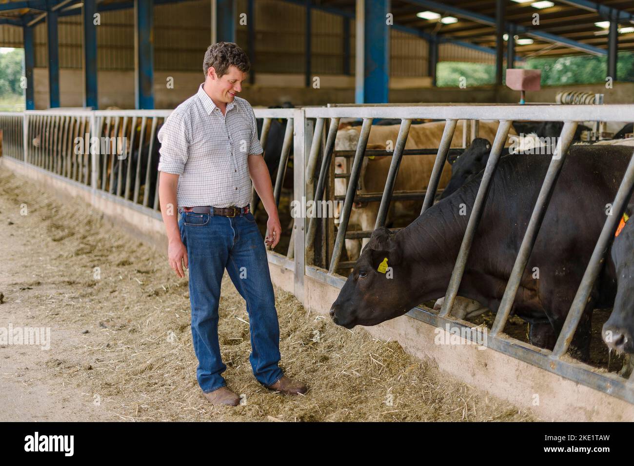 Photo de Jim Wileman - Directeur agricole Tom Chanter, photographié à Woodbury Salterton, Devon, Royaume-Uni. Banque D'Images Photo de Jim Wileman - Directeur agricole Tom Chanter, photographié à Woodbury Salterton, Devon, Royaume-Uni. Banque D'Images