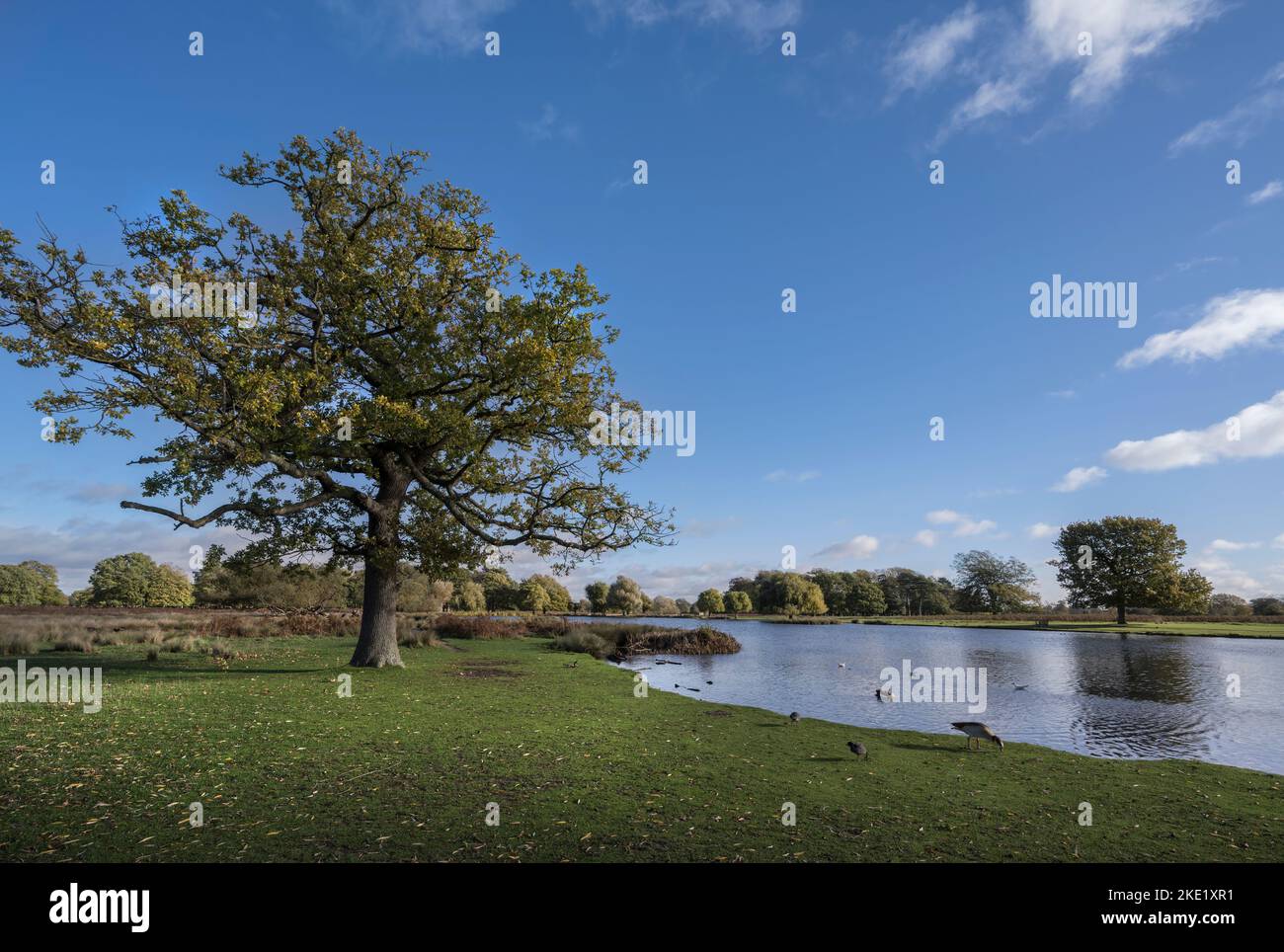 Promenade matinale à l'air frais dans le parc Banque D'Images