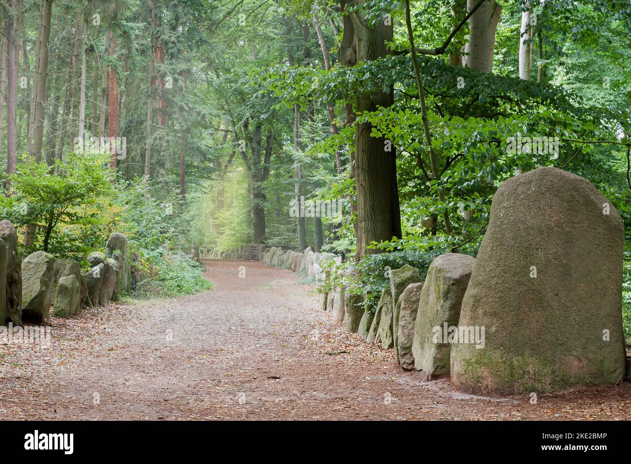 La Sachsenhain est une excursion bordée de 4500 pierres de granit et fut construite en 1935 comme un mémorial pour la cour sanglante de Verden. Banque D'Images