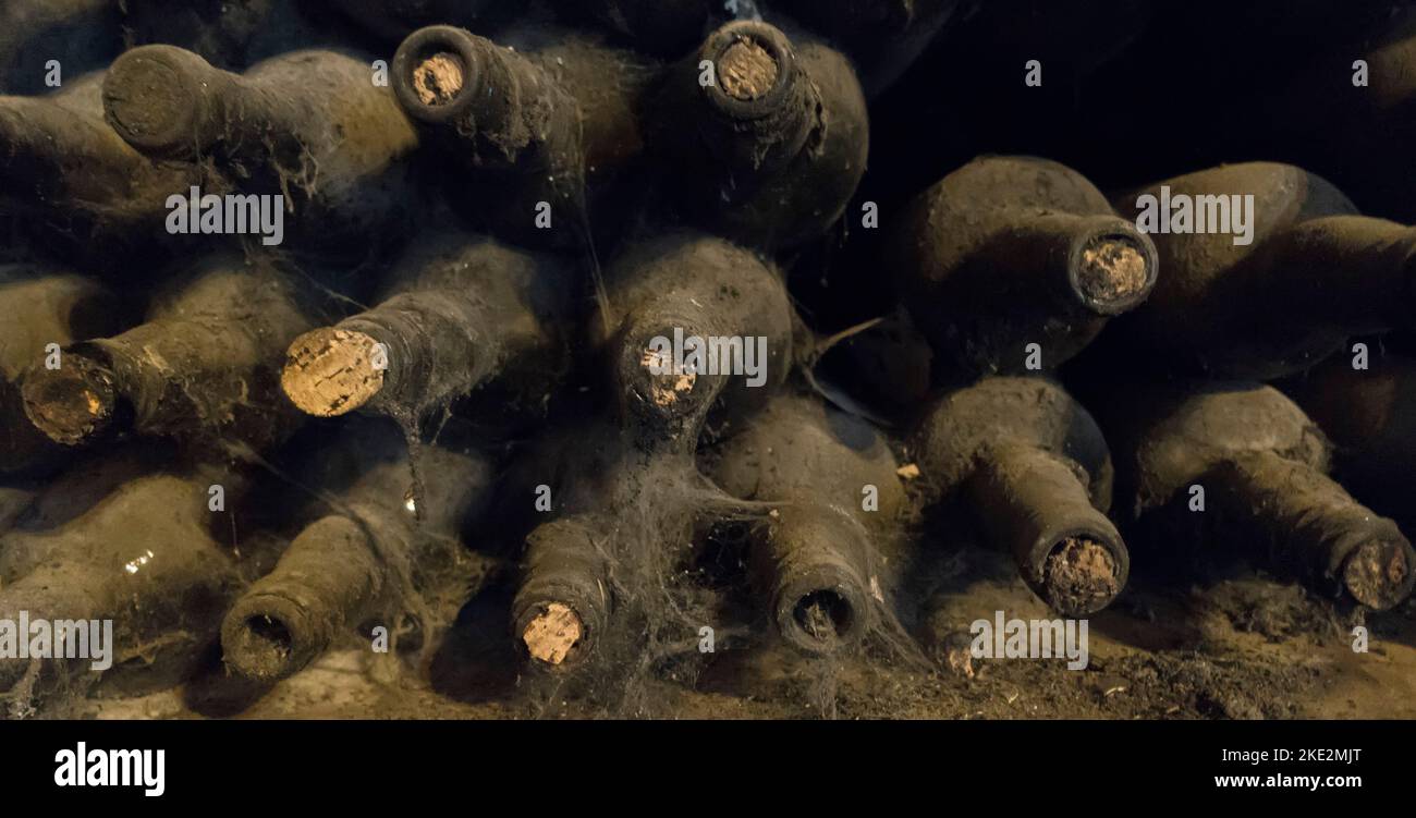 Vieilles bouteilles de vin couvertes de toiles d'araignée dans une cave à vin Banque D'Images