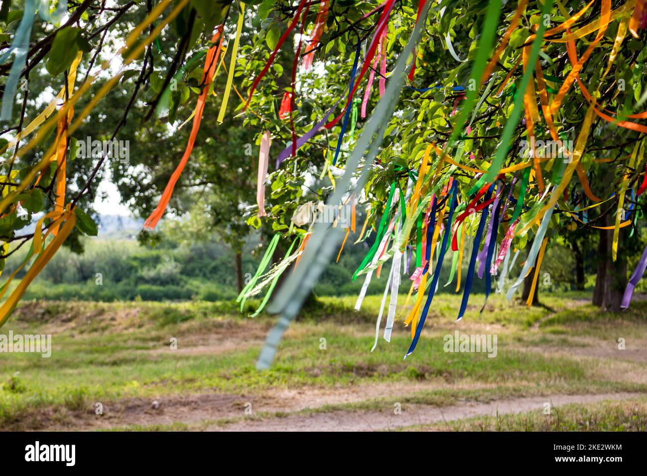 Rubans de voeu colorés attachés sur les branches d'un arbre de près Banque D'Images