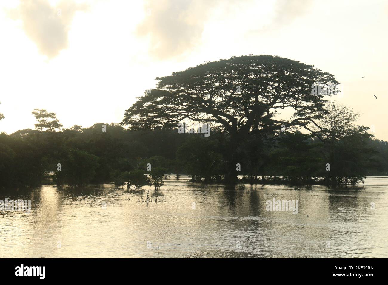 Magnifiques photos de paysage de coucher de soleil au Sri Lanka. Visite Sri Lanka Banque D'Images