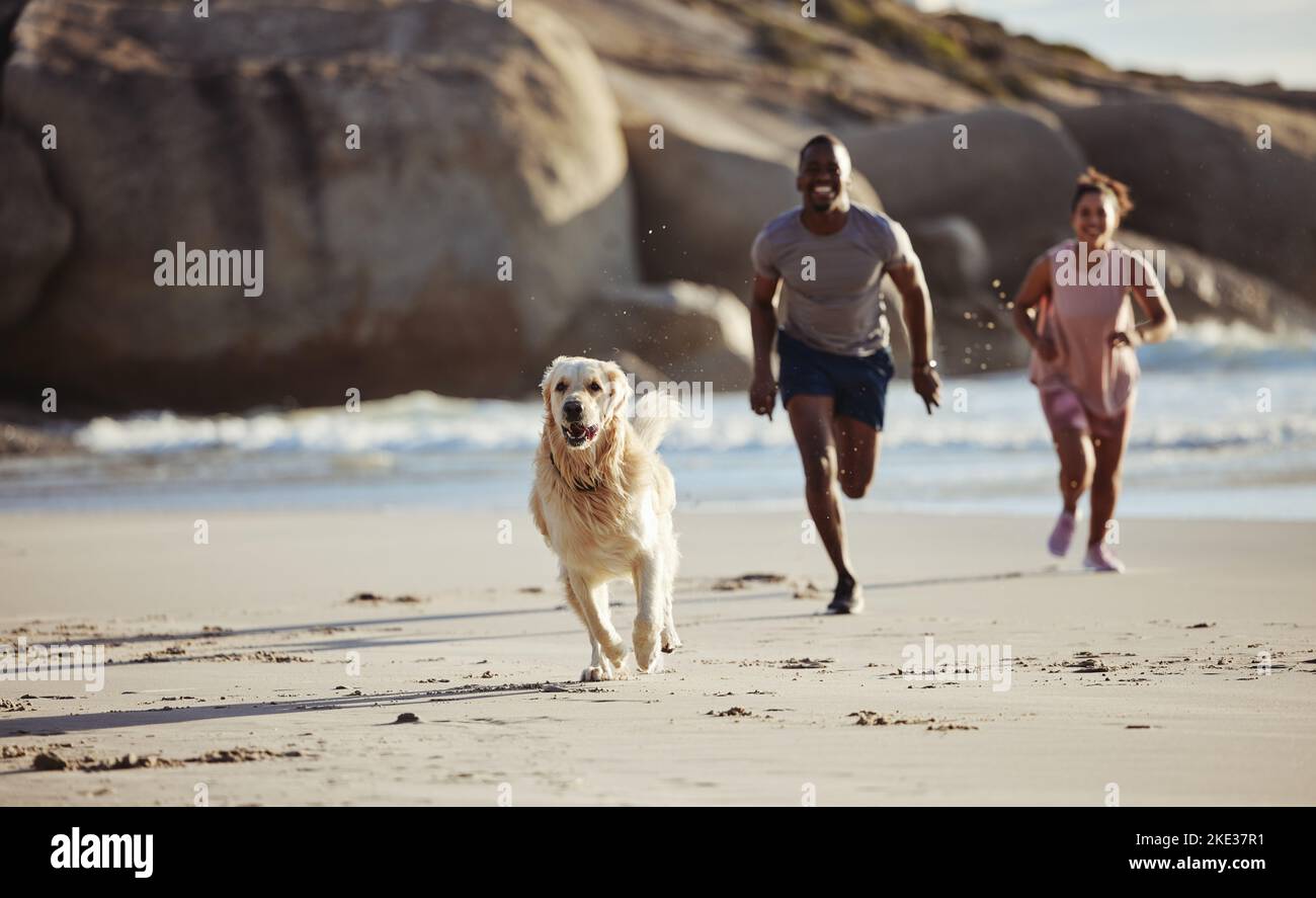 Chien, courant et plage avec un couple noir et un animal de compagnie en vacances se sentant bonheur et libre. Mer, sable et liberté de vacances d'un animal de famille et de personnes Banque D'Images