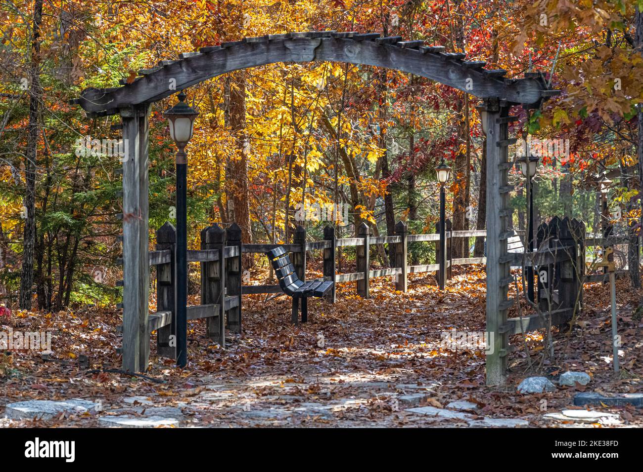 Chemin d'accès couvert par des feuilles au parc national de Tallulah gorge, à Tallulah Falls, en Géorgie. (ÉTATS-UNIS) Banque D'Images