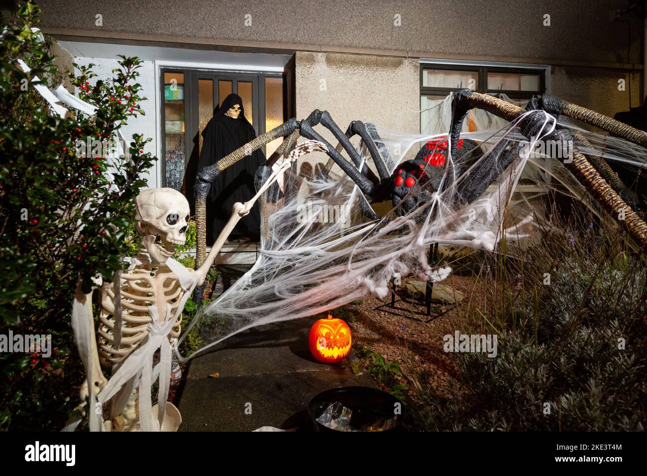 Une maison écossaise célébrant halloween avec une décoration araignée géante et squelette. Banque D'Images