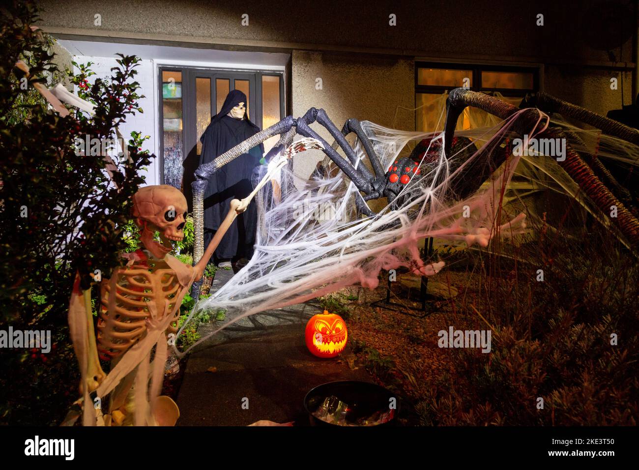 Une maison écossaise célébrant halloween avec une décoration araignée géante et squelette. Banque D'Images