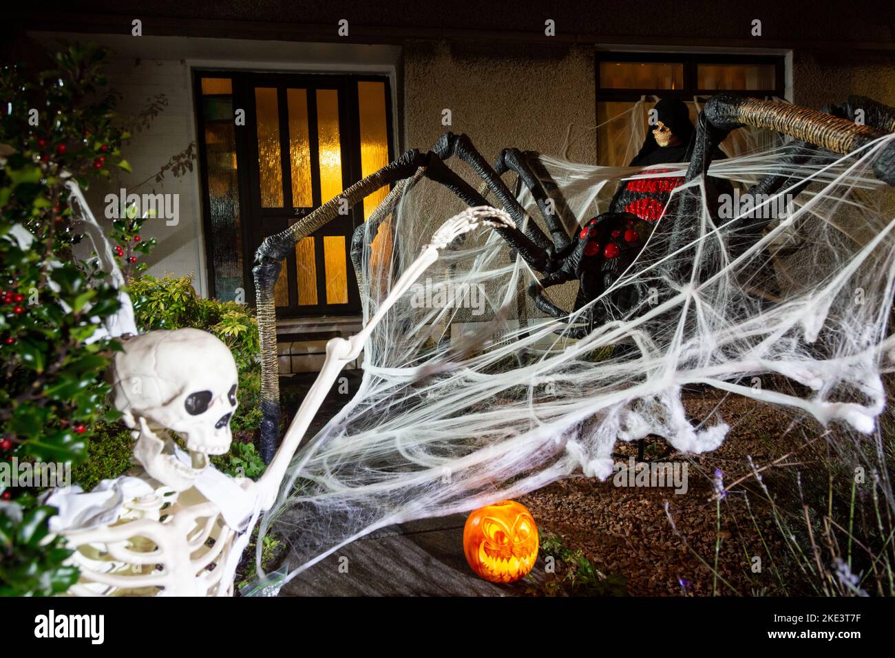 Une maison écossaise célébrant halloween avec une décoration araignée géante et squelette. Banque D'Images