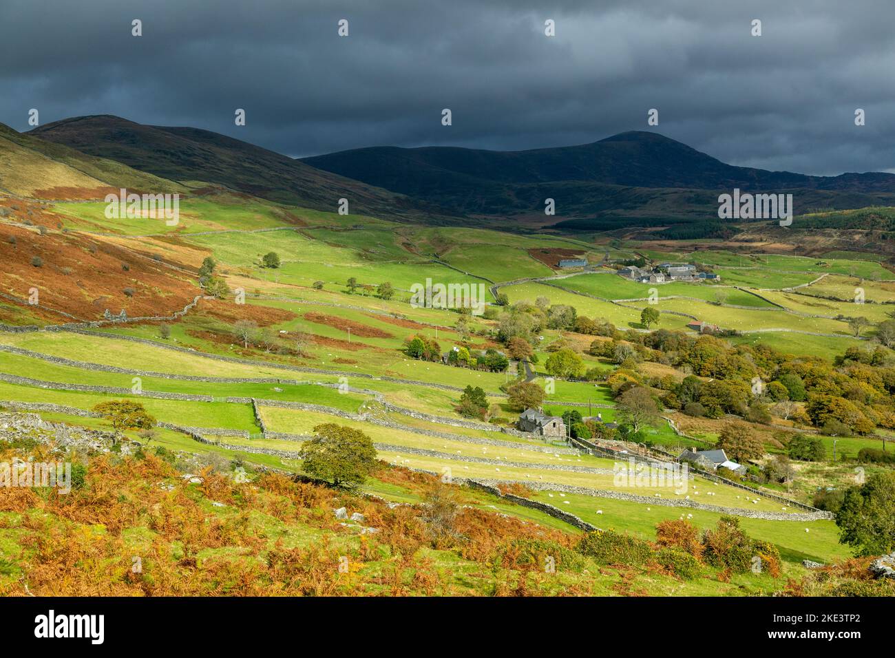 Ciel d'humeur changeante au-dessus de la montagne de Diffwys avec des terres agricoles verdoyantes en premier plan, près de Barmouth, pays de Galles. Banque D'Images