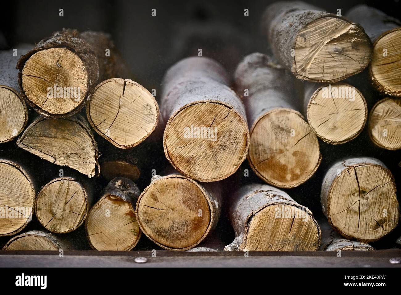 Bois de chauffage empilé haché pour l'hiver. Concept de crise énergétique. Banque D'Images