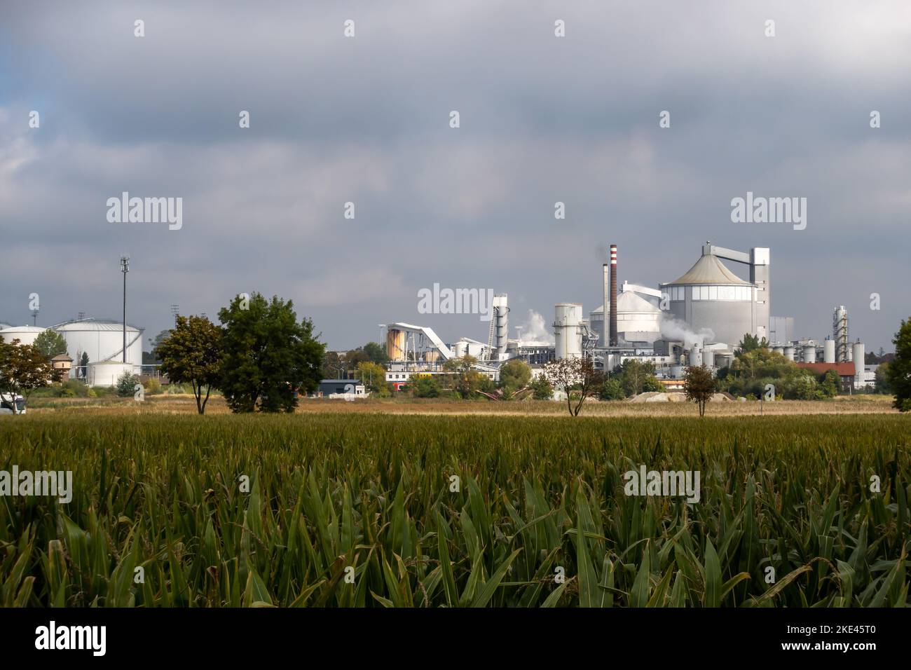 Une grande usine industrielle dans la distance. Usine de sucre contre le ciel légèrement nuageux. Photo prise dans des conditions d'éclairage naturel. Banque D'Images