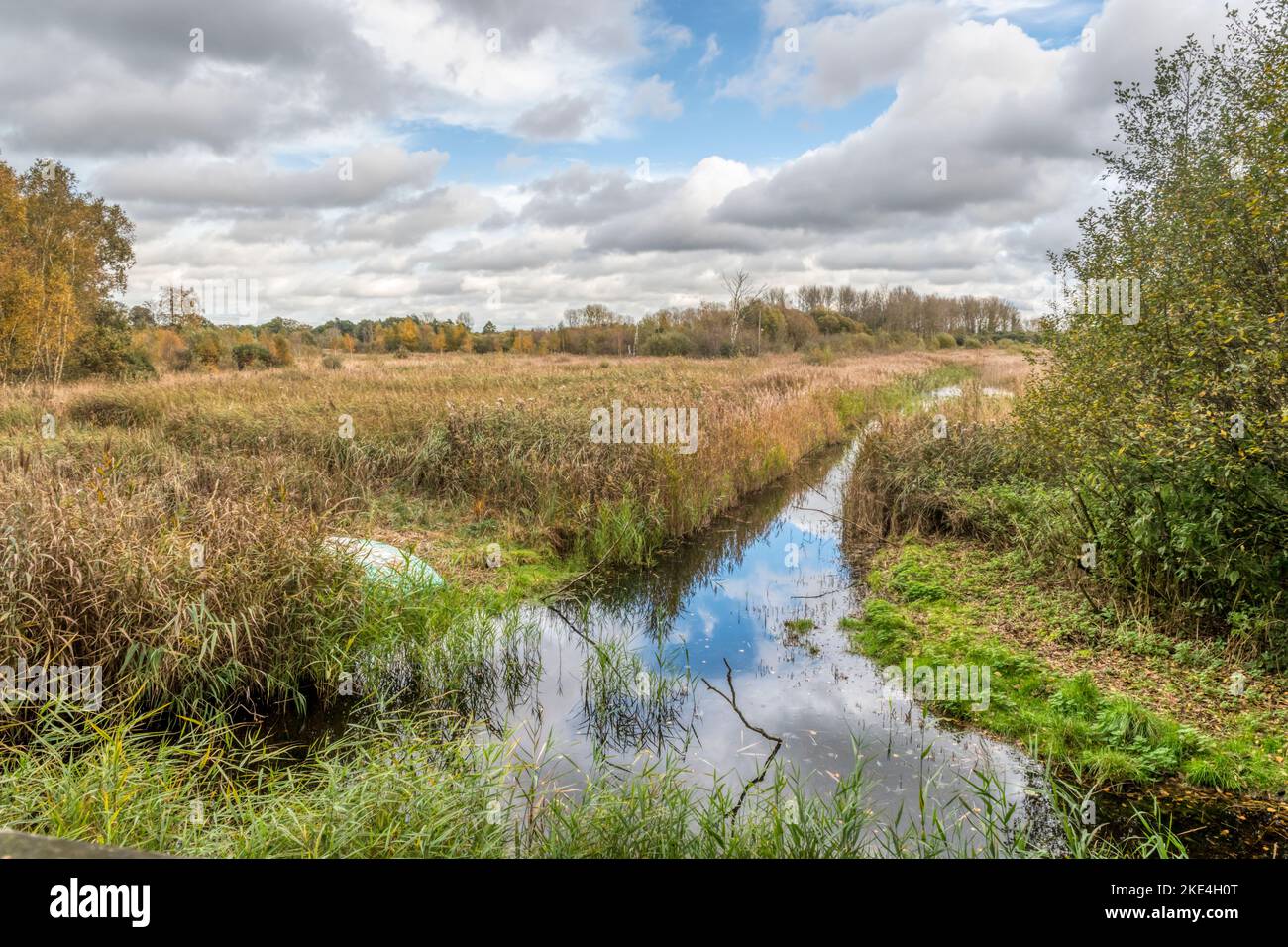 Marais à la réserve naturelle de Sculthorpe Moor. Vu de Whitley Hide également connu sous le nom de Fen Hide. Banque D'Images