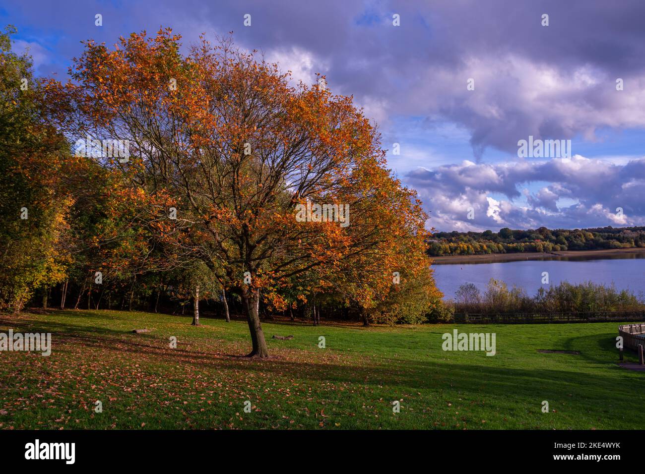 Paysage d'automne dans le sud du Derbyshire Banque D'Images