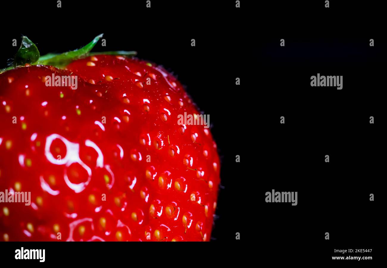Macro gros plan d'un seul fruit de fraise rouge mûr isolé avec des feuilles vertes sur une plaque de verre réfléchissante noire éclairée par une lumière studio Banque D'Images