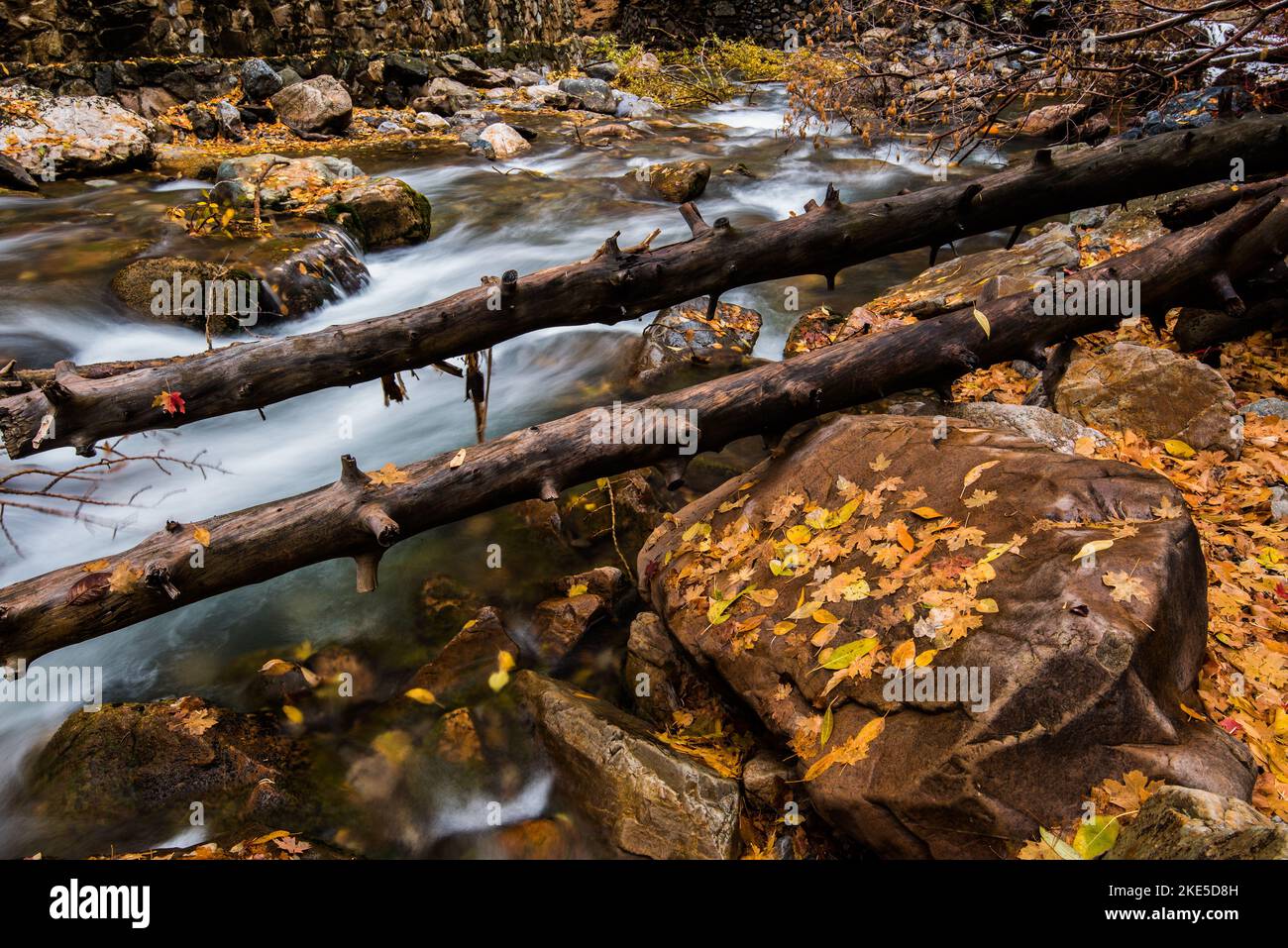 Cascade de montagnes avec des feuilles d'automne tombées. La nature crée une beauté supplémentaire après la chute des feuilles. Le plancher forestier est une autre palette. Banque D'Images