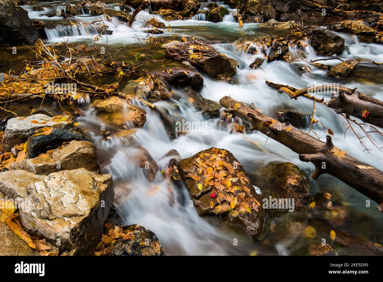 Cascade de montagnes avec des feuilles d'automne tombées. La nature crée une beauté supplémentaire après la chute des feuilles. Le plancher forestier est une autre palette. Banque D'Images