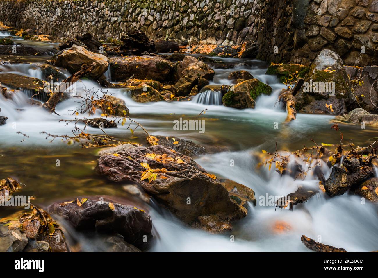 Cascade de montagnes avec des feuilles d'automne tombées. La nature crée une beauté supplémentaire après la chute des feuilles. Le plancher forestier est une autre palette. Banque D'Images
