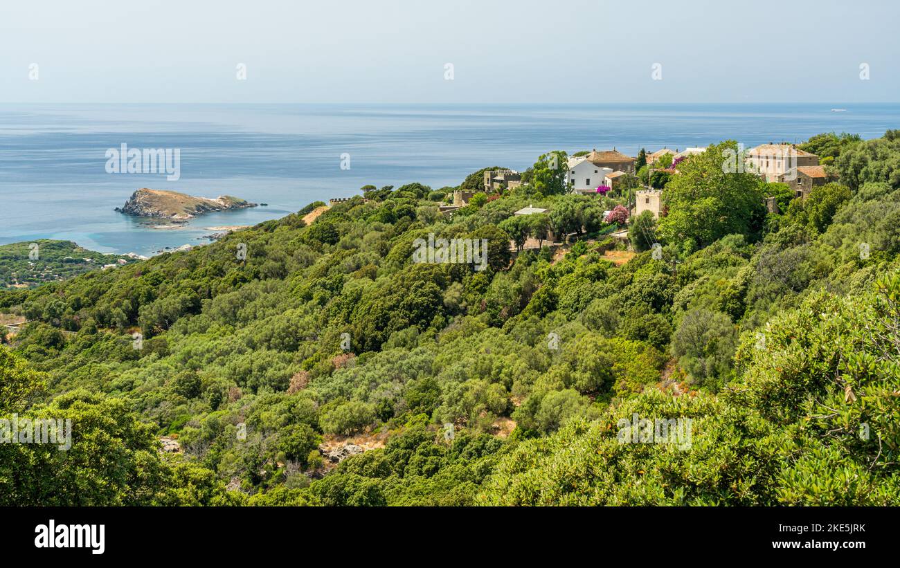 Vue panoramique sur le village de Baragogna, près de Morsiglia, au Cap Corse, au nord de la Corse, en France. Banque D'Images