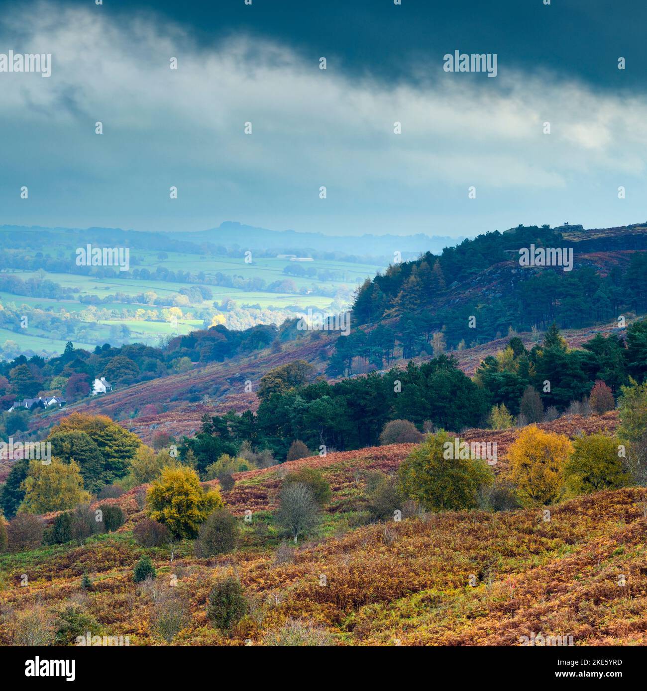 Vue sur la Wharfedale par Cow & Calf Rocks (crocheen et bruyère bruns, crag Almscliffe à travers la vallée, nuages noirs) - Ilkley, West Yorkshire, Angleterre, Royaume-Uni. Banque D'Images