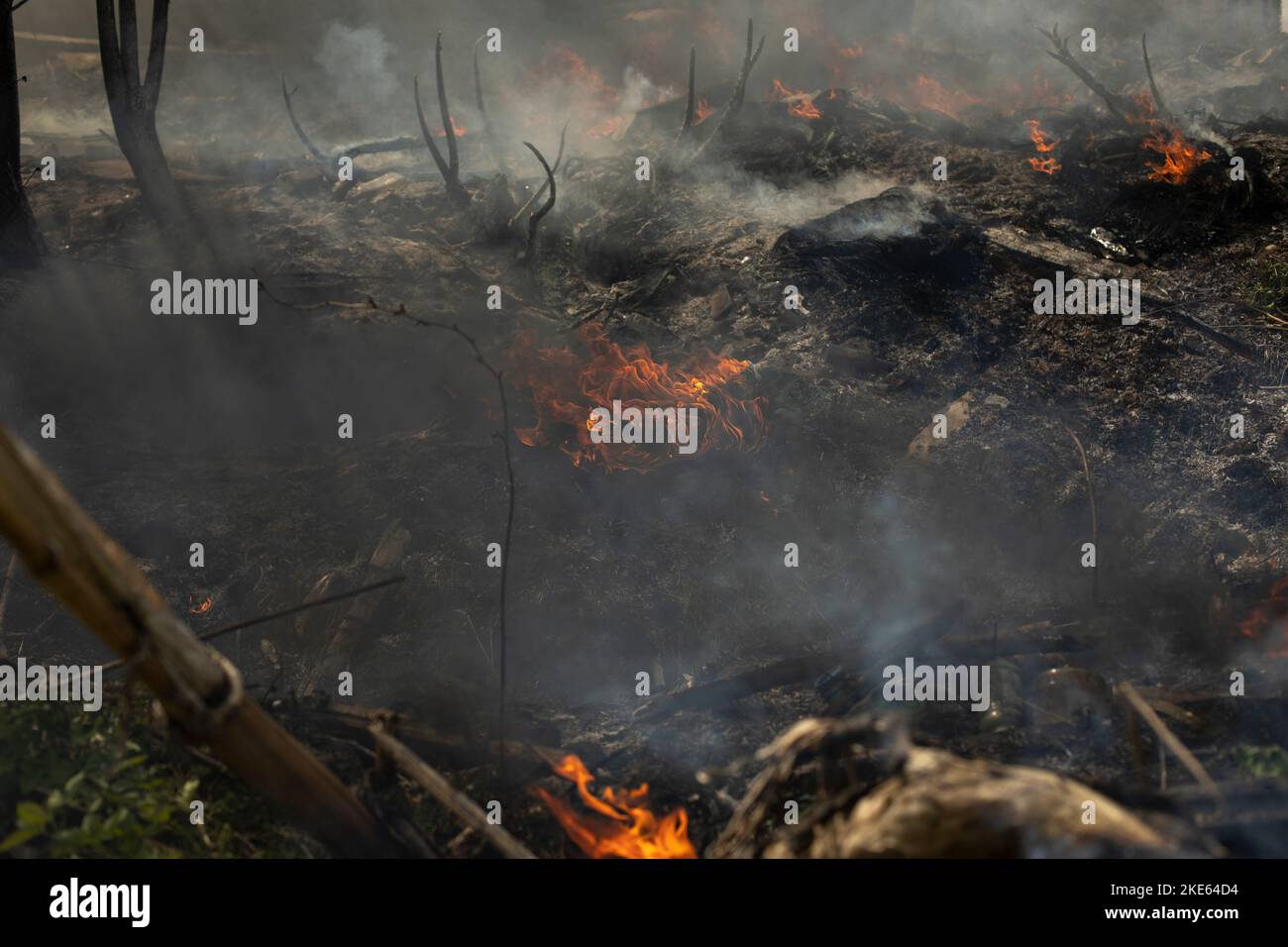 Person Combusting Garbage combustion Banque de photographies et d’images à haute ...