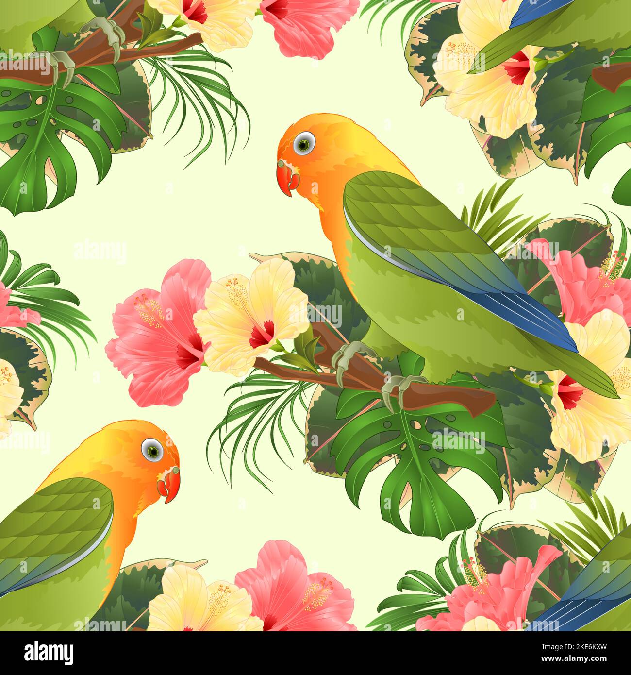 Texture sans couture Parrot lovebird Agapornis oiseau tropical debout sur une branche et hibiscus vintage vecteur illustration modifiable main dessiner Illustration de Vecteur