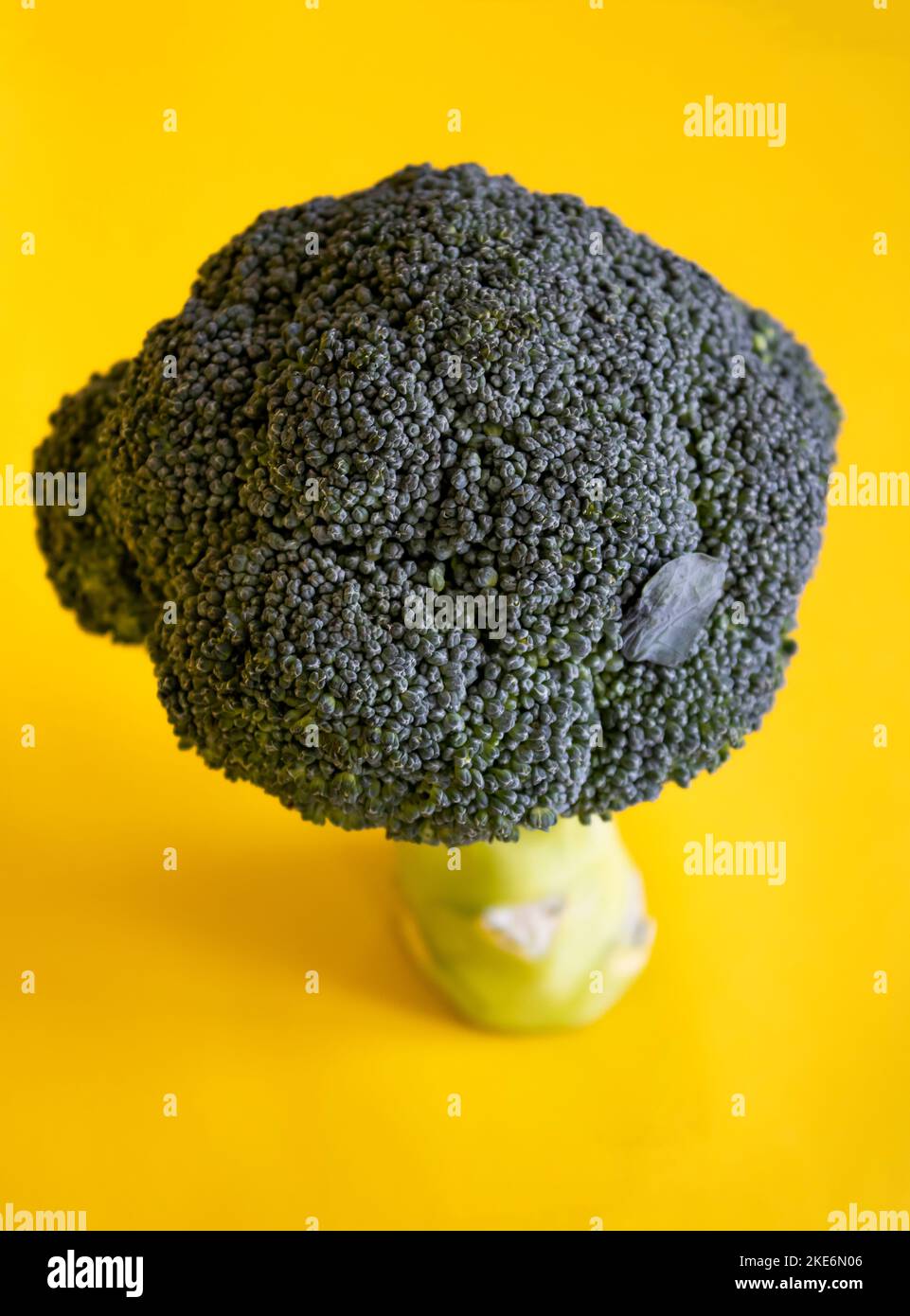 Brocoli , brocoli à fond jaune Banque D'Images
