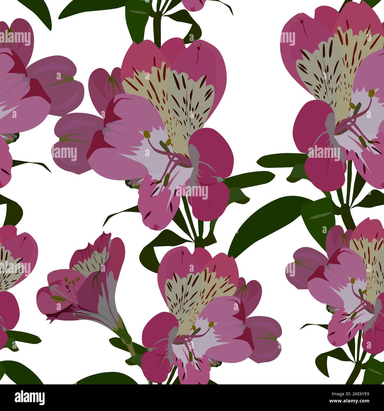 Motif vectoriel sans couture avec fleurs d'alstroemeria. Fond floral, papier peint. Illustration de Vecteur