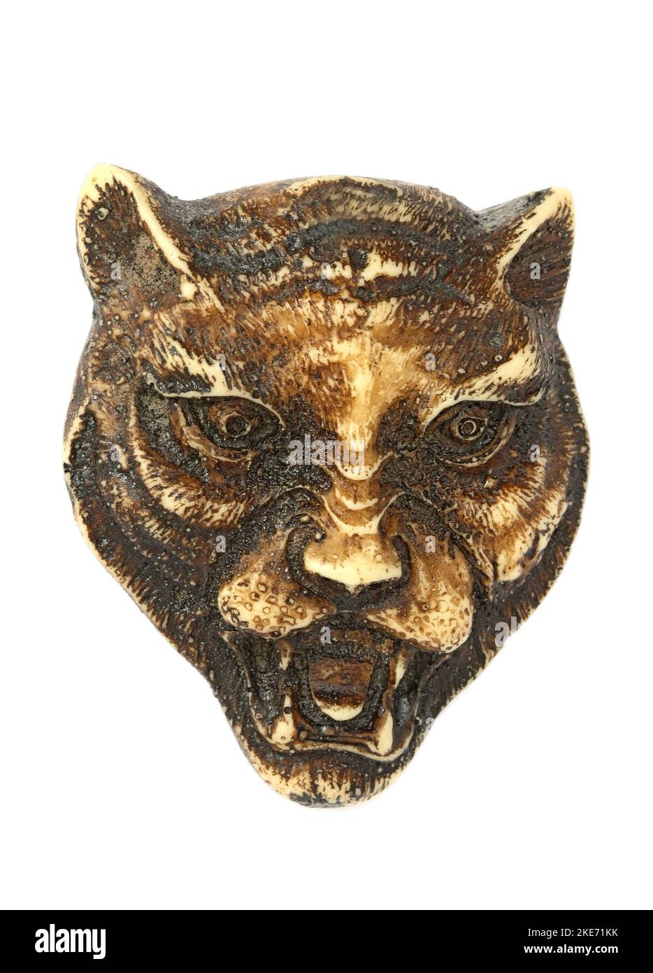 Sculpture osseuse d'une tête de loup Banque D'Images