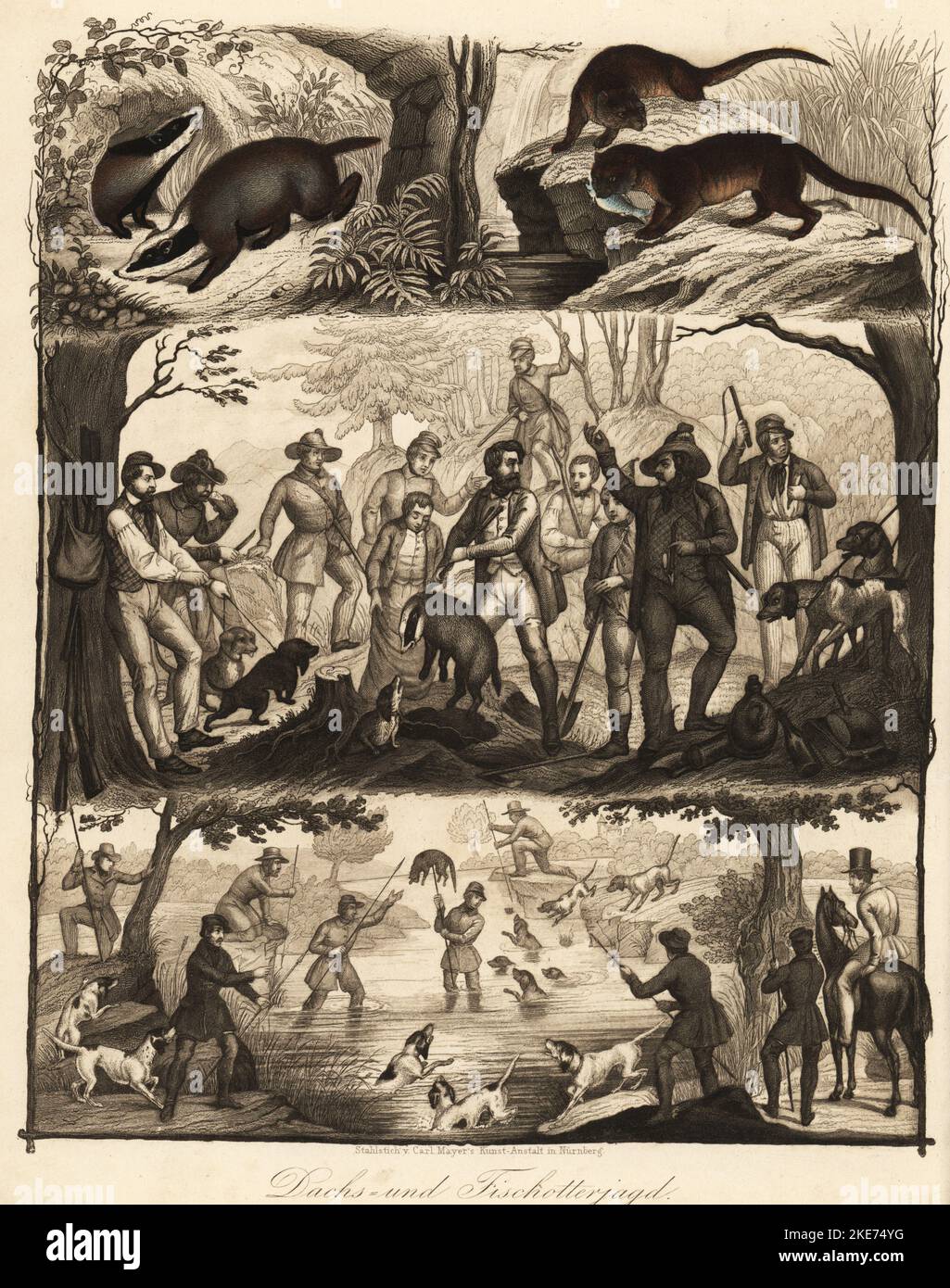 Fêtes européennes de chasse pour blaireau et loutre, 19th siècle. Un groupe de chasseurs avec des loutres qui creusent un blaireau de sa séche, et de chasseurs avec une loutre à voix dans une rivière. Top: Blaireau européen, Meles meles, et la loutre eurasienne, Lutra lutra, avec poisson. Tachs- und Fischotterjagd. Lithographie de couleur main de Carl Hoffmann Das Buch der Welt, Livre du monde, Stuttgart, 1848. Banque D'Images