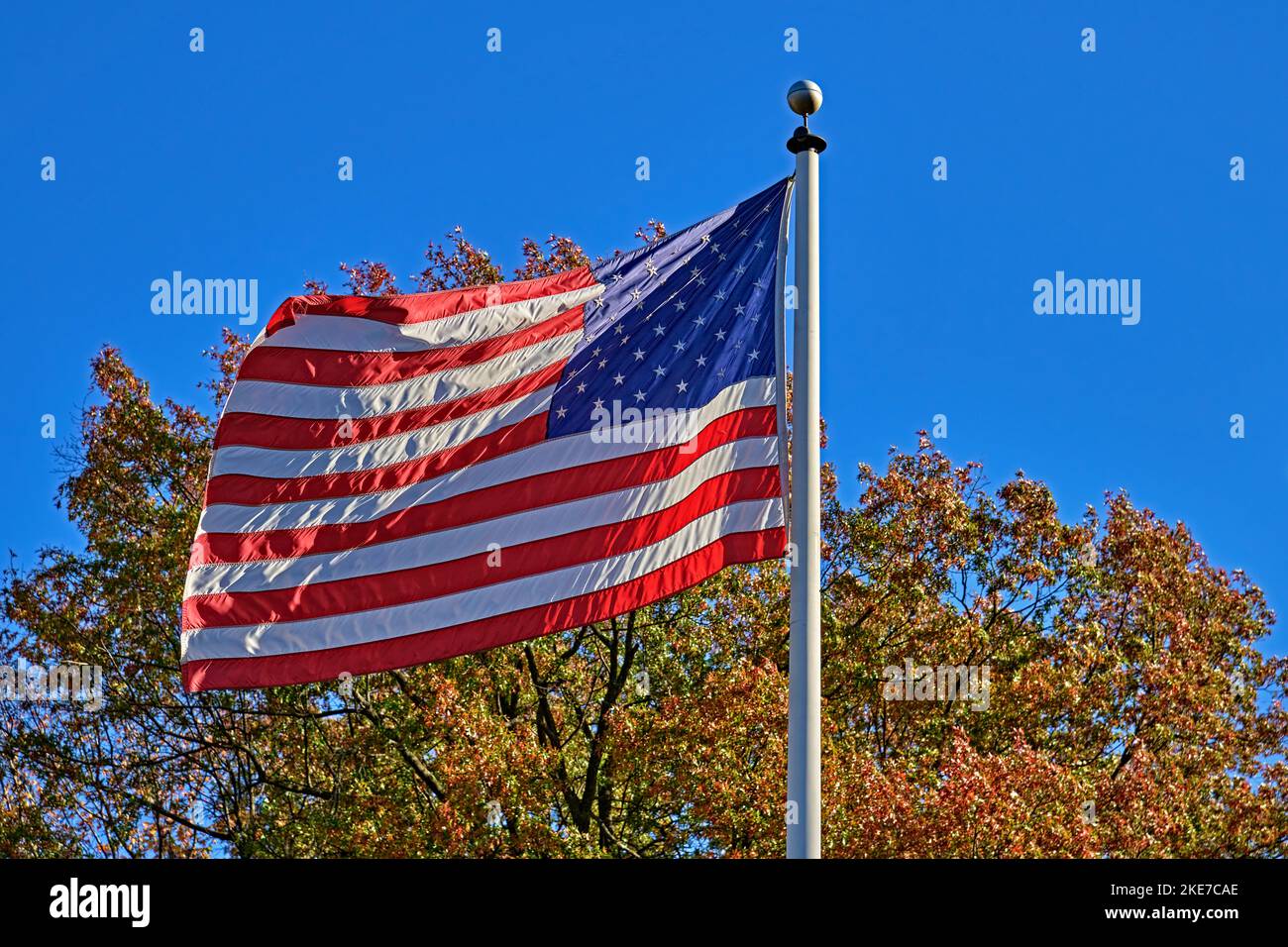 Un drapeau américain et américain agité dans le vent. Avec un arbre de couleur d'automne et un beau ciel bleu en arrière-plan. Banque D'Images