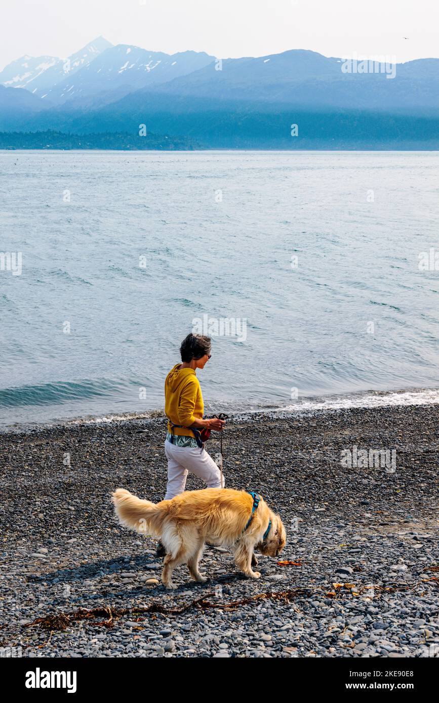 Femme marchant sur un chien Golden Retriever, brumeux, jour, Kachemak Bay, Kenai Mountains ; Homer ; Alaska ; États-Unis Banque D'Images