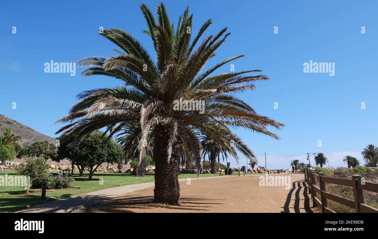 Point Vincente Beach Walk à Rancho Palos Verdes, Californie, États-Unis Banque D'Images