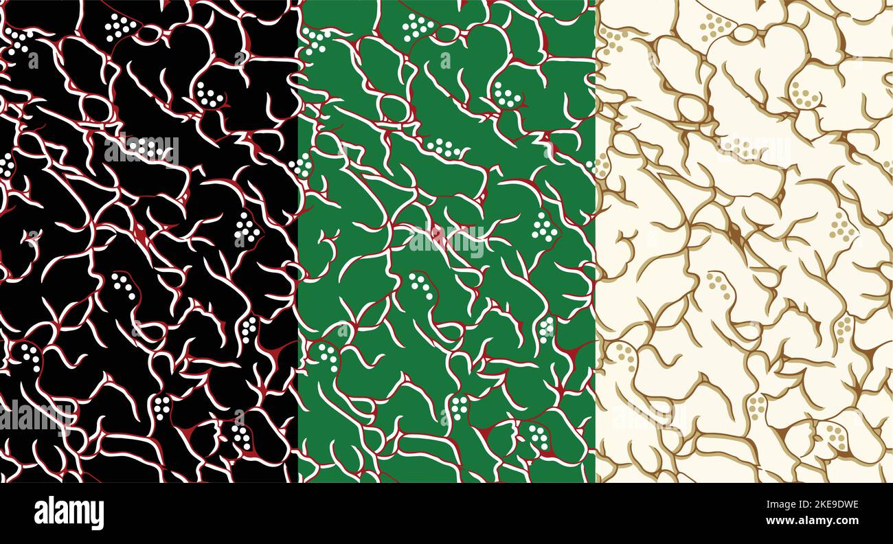 Collection de peintures à l'huile de créateur. Décoration pour l'intérieur. Art abstrait moderne sur toile. Un ensemble de peintures avec des roses rouges.génome de style ethnique Illustration de Vecteur