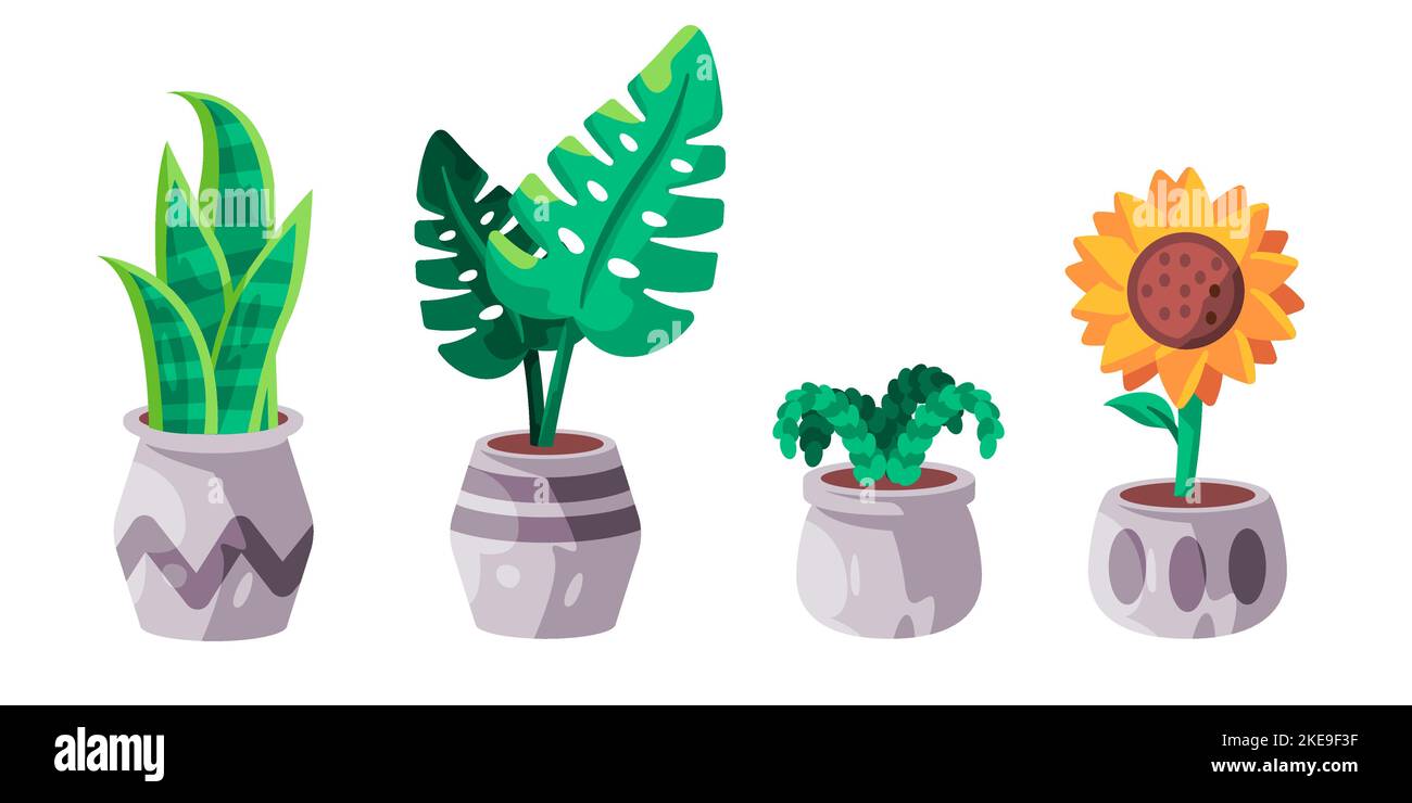 Soleil fleur monstera et sansevieria dans pot maison plante collection illustration de dessin animé Illustration de Vecteur