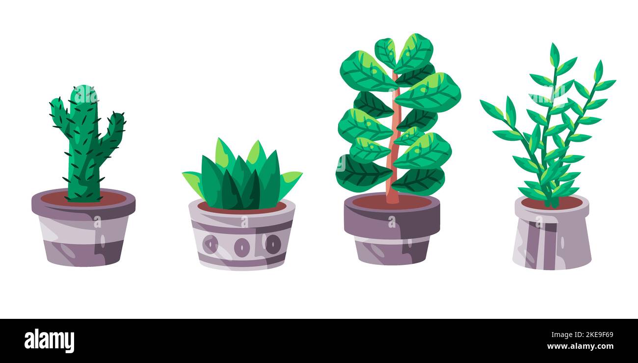 Collection ensemble de plantes de maison en pot verdure pot illustration en pot Illustration de Vecteur