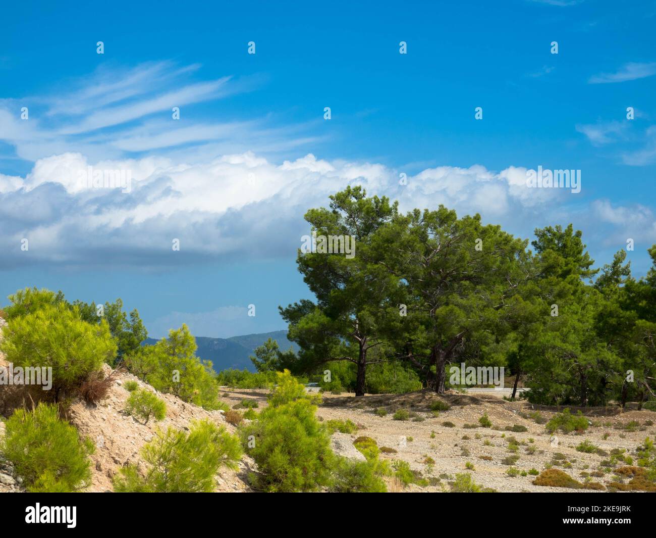 Vue panoramique sur le paysage méditerranéen grec typique avec colline, sapins et buissons. Tourisme et vacances concept. Rhode Island, Grèce. Banque D'Images