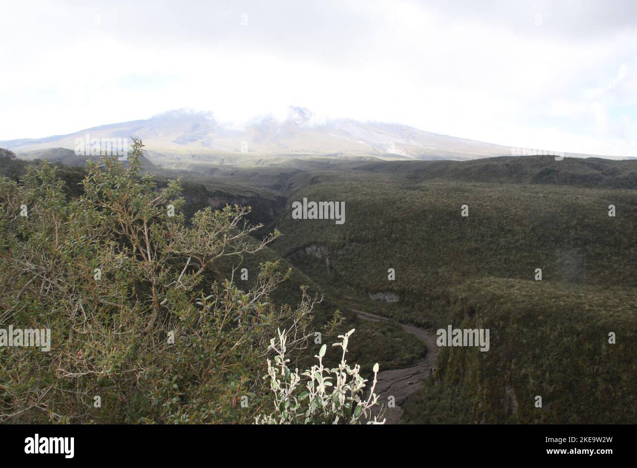 Cotopaxi est un stratovolcan actif dans les Andes, situé dans la ville de Latacunga dans la province de Cotopaxi, à environ 50 km (31 mi) au sud de Quito, et 31 Banque D'Images