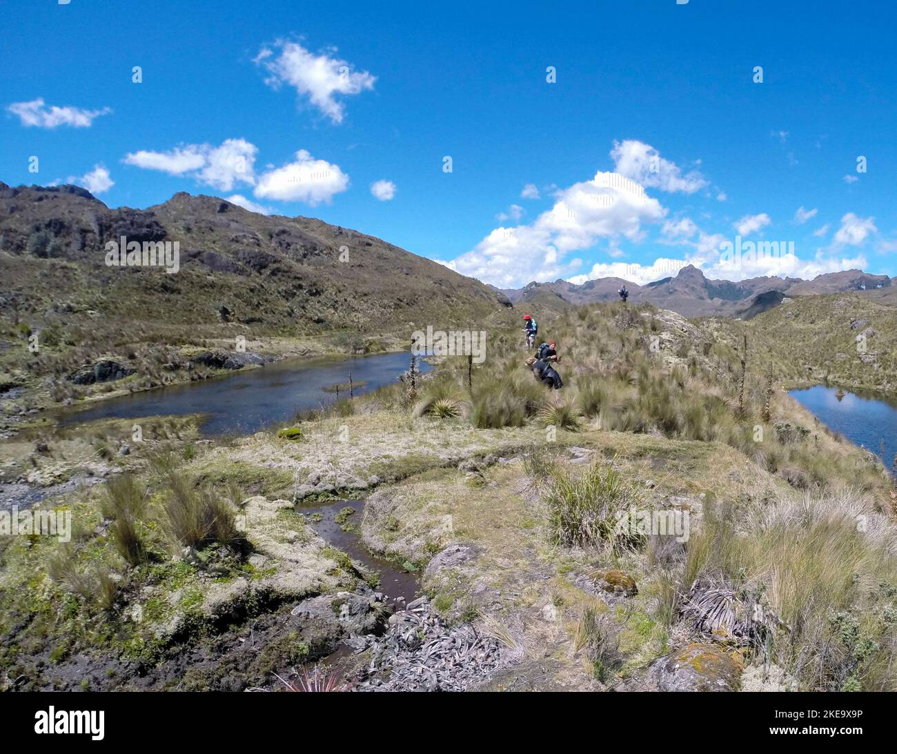 Cotopaxi est un stratovolcan actif dans les Andes, situé dans la ville de Latacunga dans la province de Cotopaxi, à environ 50 km (31 mi) au sud de Quito, et 31 Banque D'Images