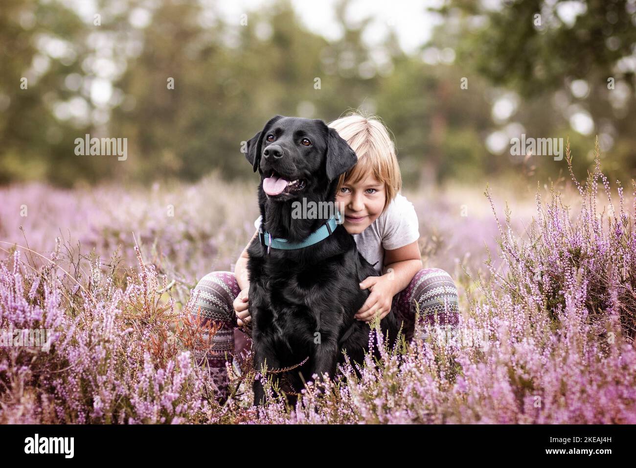 Enfant et de Labrador Retriever Banque D'Images