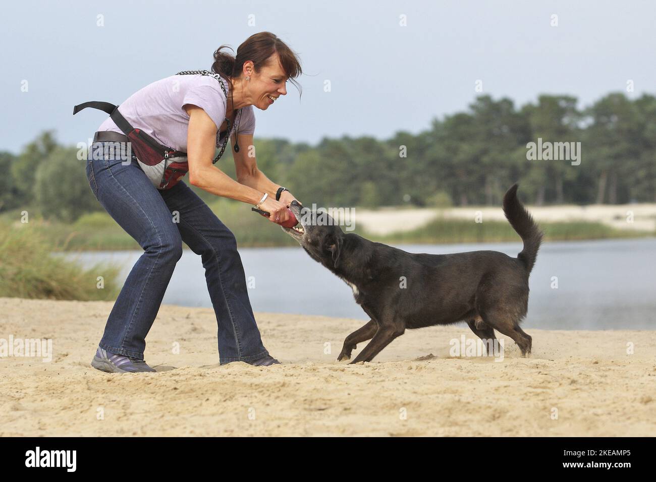 Femme avec Labrador-Retriever-German-Shepherd-Mongrel Banque D'Images