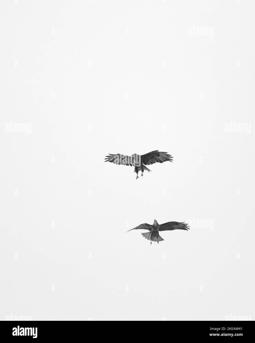 Buse variable Banque D'Images