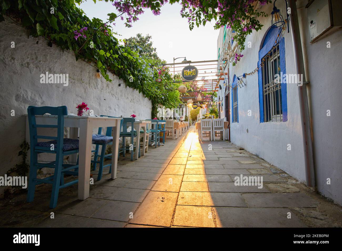 Bodrum, Turquie - 12.05.2022. Petite rue confortable de la ville de Bodrum en Turquie surcultivée avec des plantes et des fleurs Banque D'Images