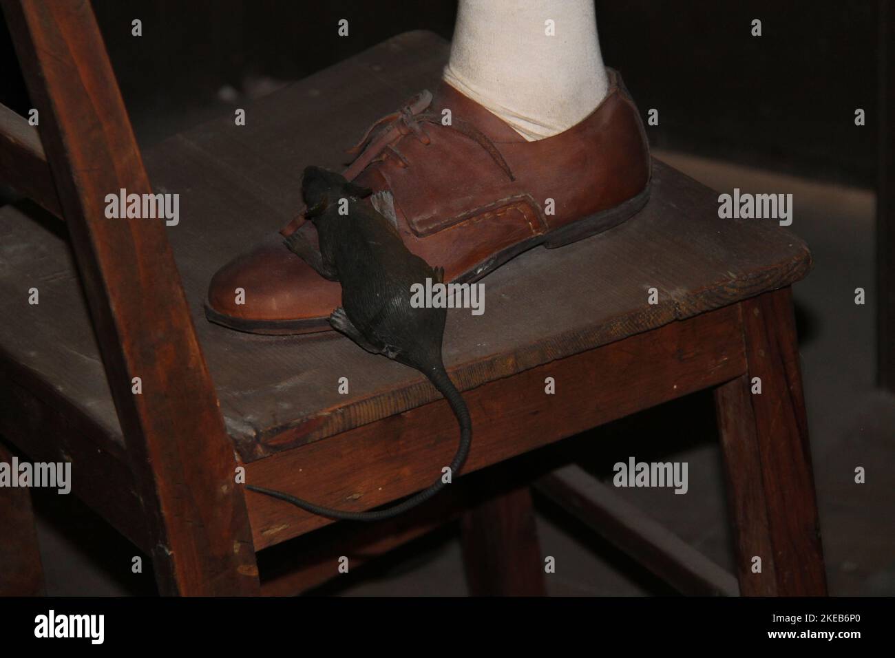 Une représentation d'un Rat qui s'exécute sur une chaussure du Mans. Banque D'Images