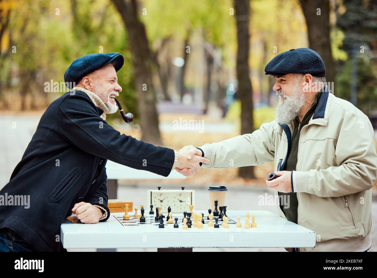 Portrait de deux hommes âgés jouant aux échecs dans le parc un jour en automne. Bon jeu. Serrer les mains. Concept d'activité de loisirs, vieille génération Banque D'Images
