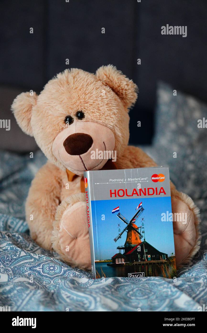 Vue verticale d'un livre de voyage sur les pays-Bas tenu par un ours en peluche assis sur le lit Banque D'Images