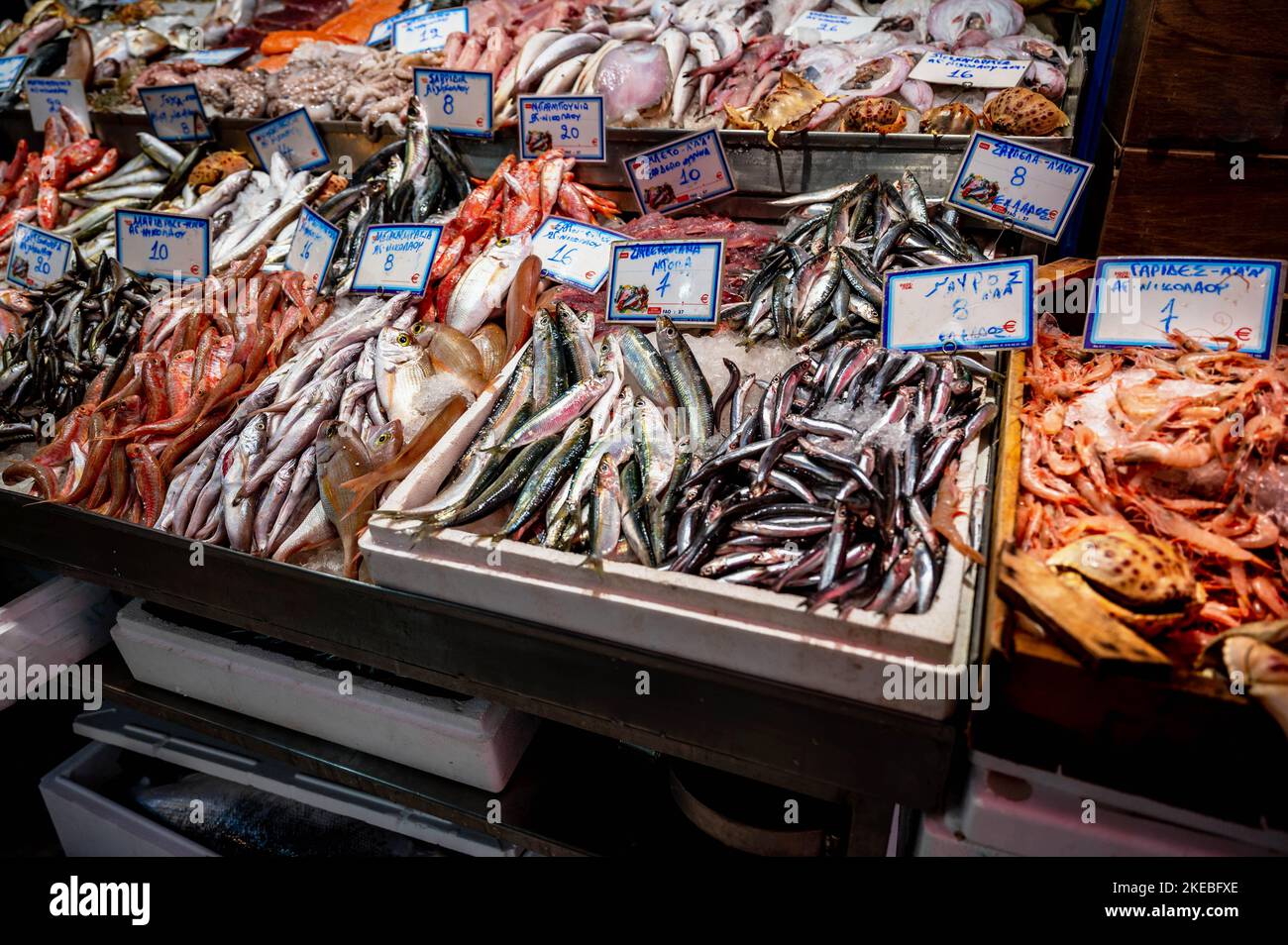 Fruits de mer, poissons, mollusques et crevettes au marché aux poissons d'Héraklion, Crète, Grèce. Banque D'Images